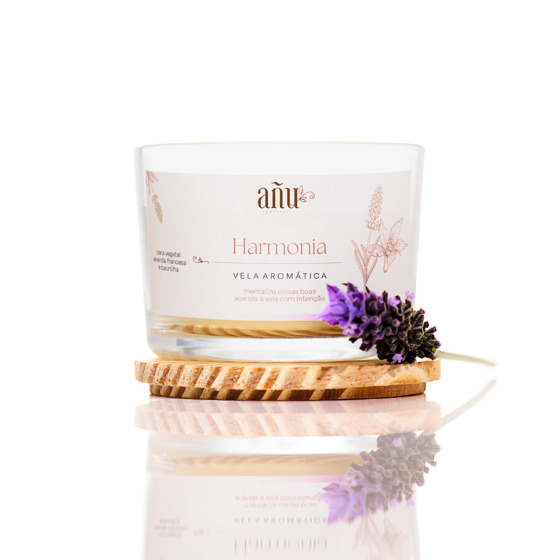 Kit Duo Velas Aromáticas (Harmonia + Abundância)