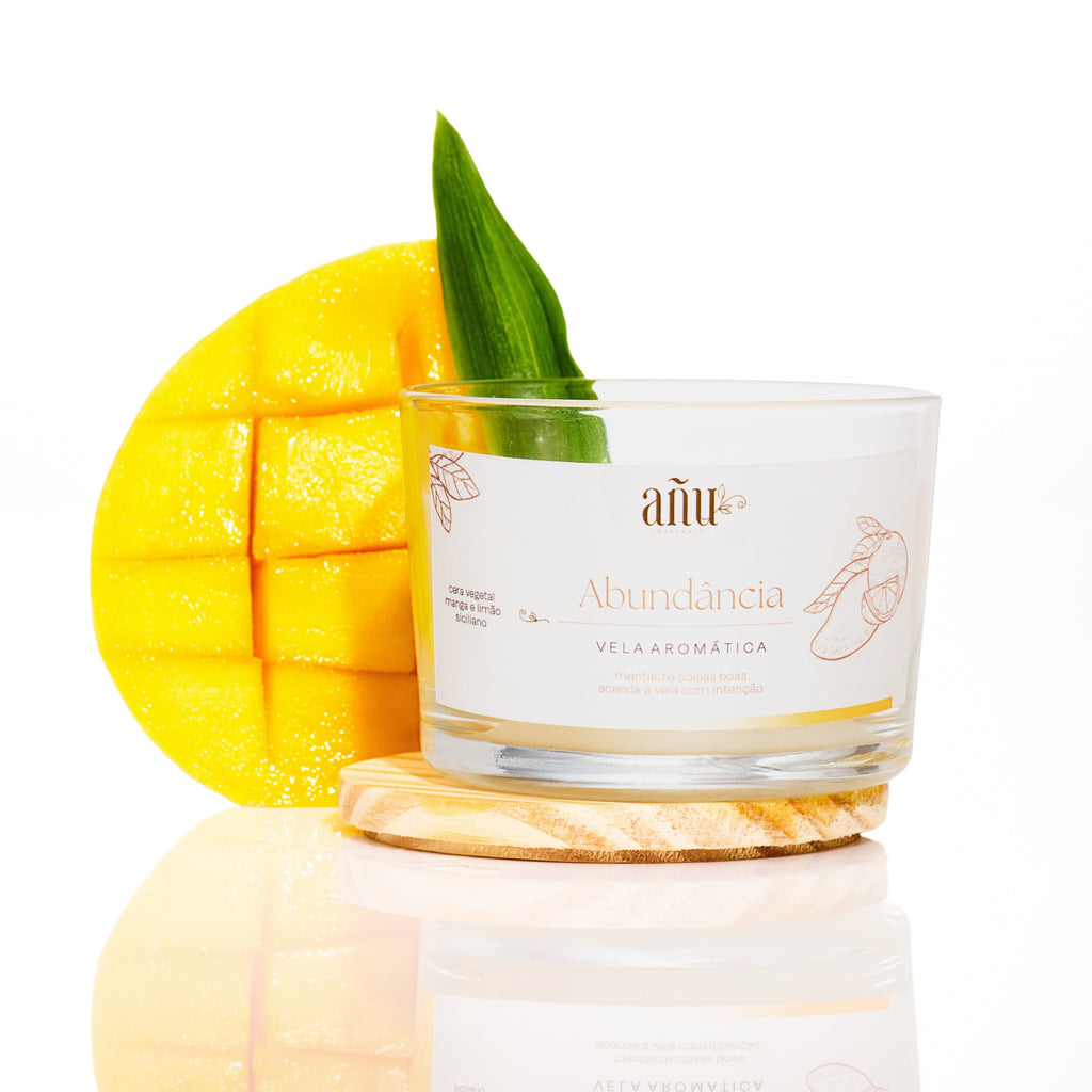 Kit Duo Velas Aromáticas (Harmonia + Abundância)